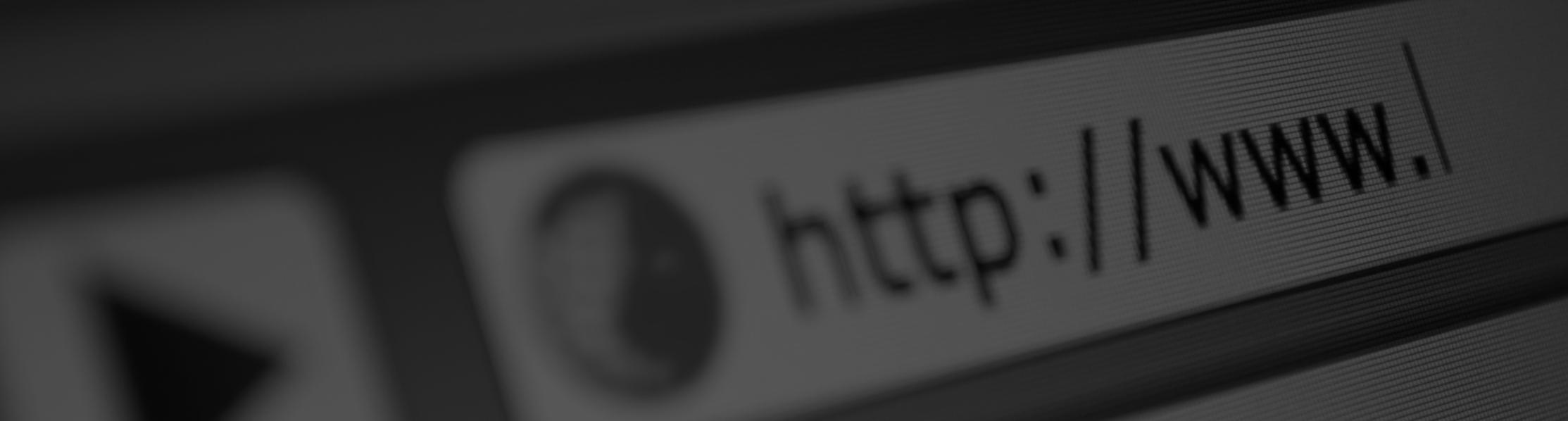 Image of a website web address bar