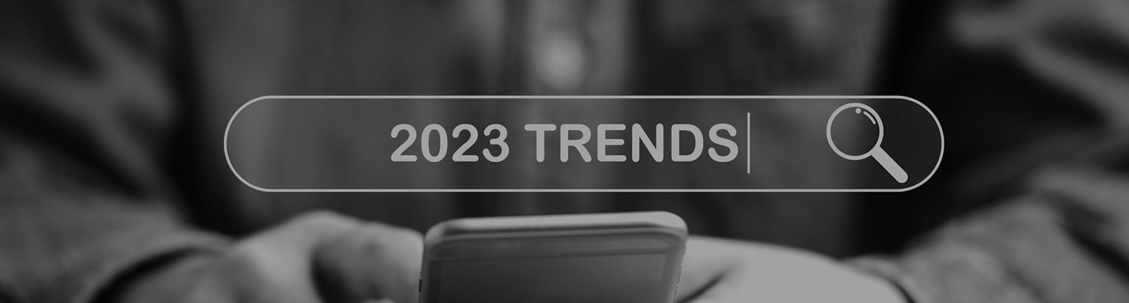 Graphic showing 2023 trend text in a search bar 